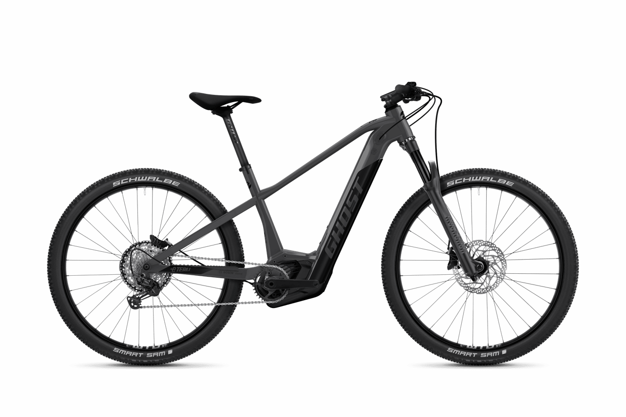 E-TERU PRO