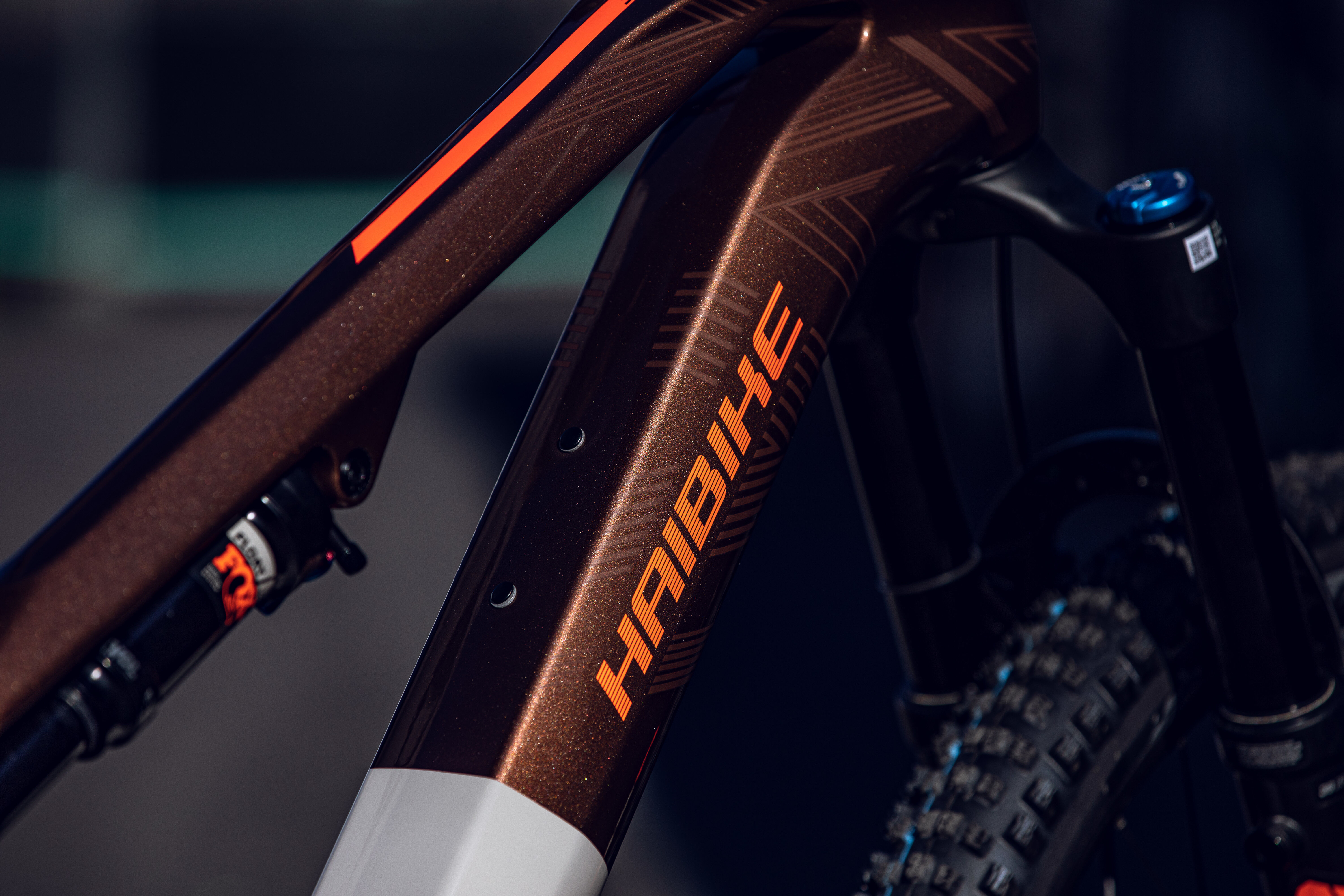 ロードバイク カーボン HAIBIKE 10s HAIBIKE LYKE CF 10 | Light eMTB für puren Fahrspaß
