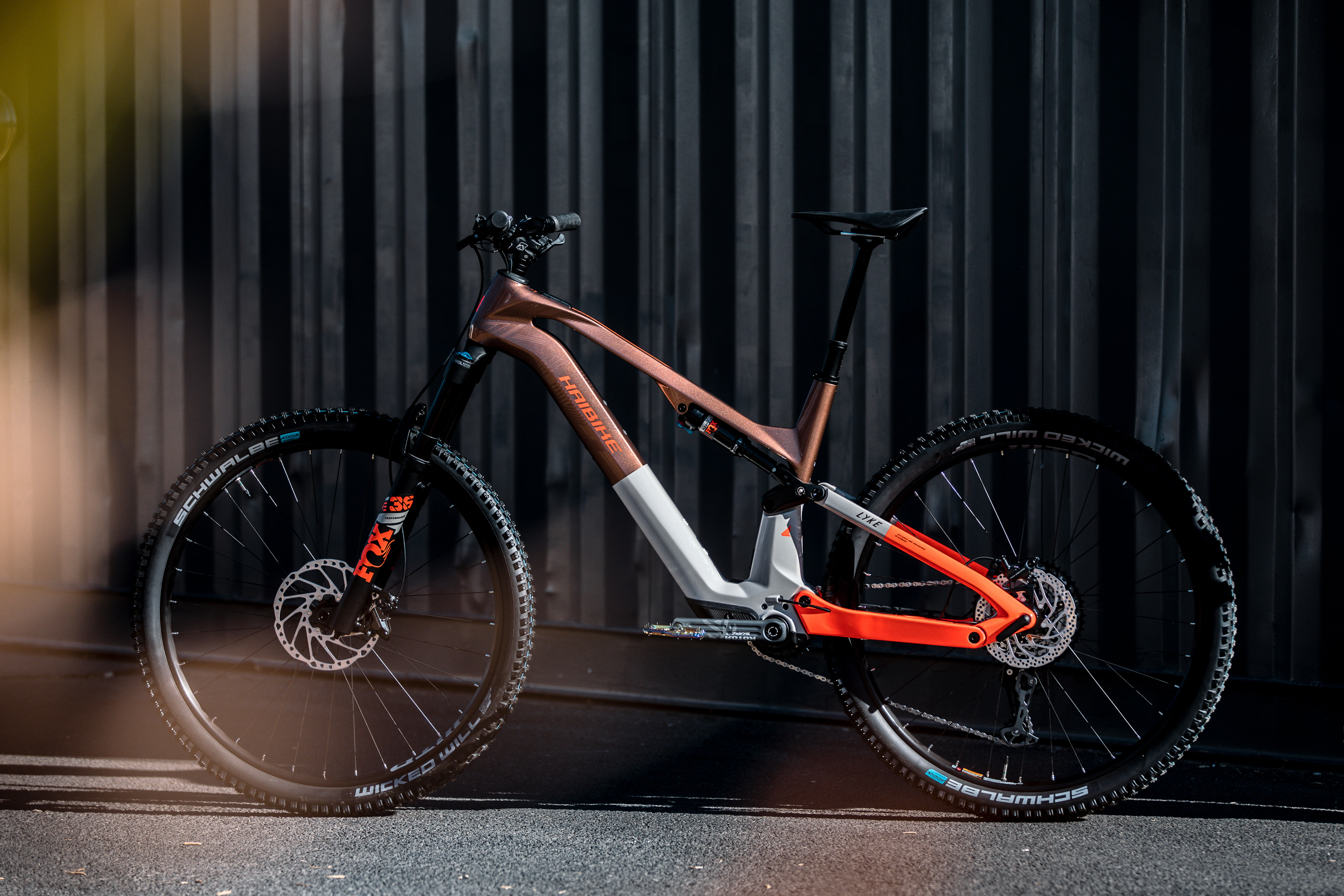 HAIBIKE LYKE CF 10 Light eMTB for Pure Riding Fun