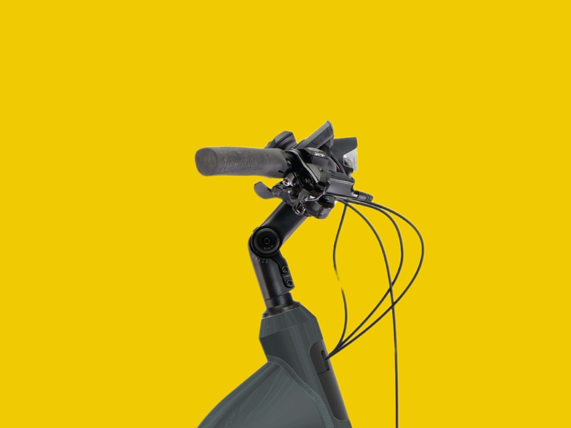 Bosch Intuvia Display