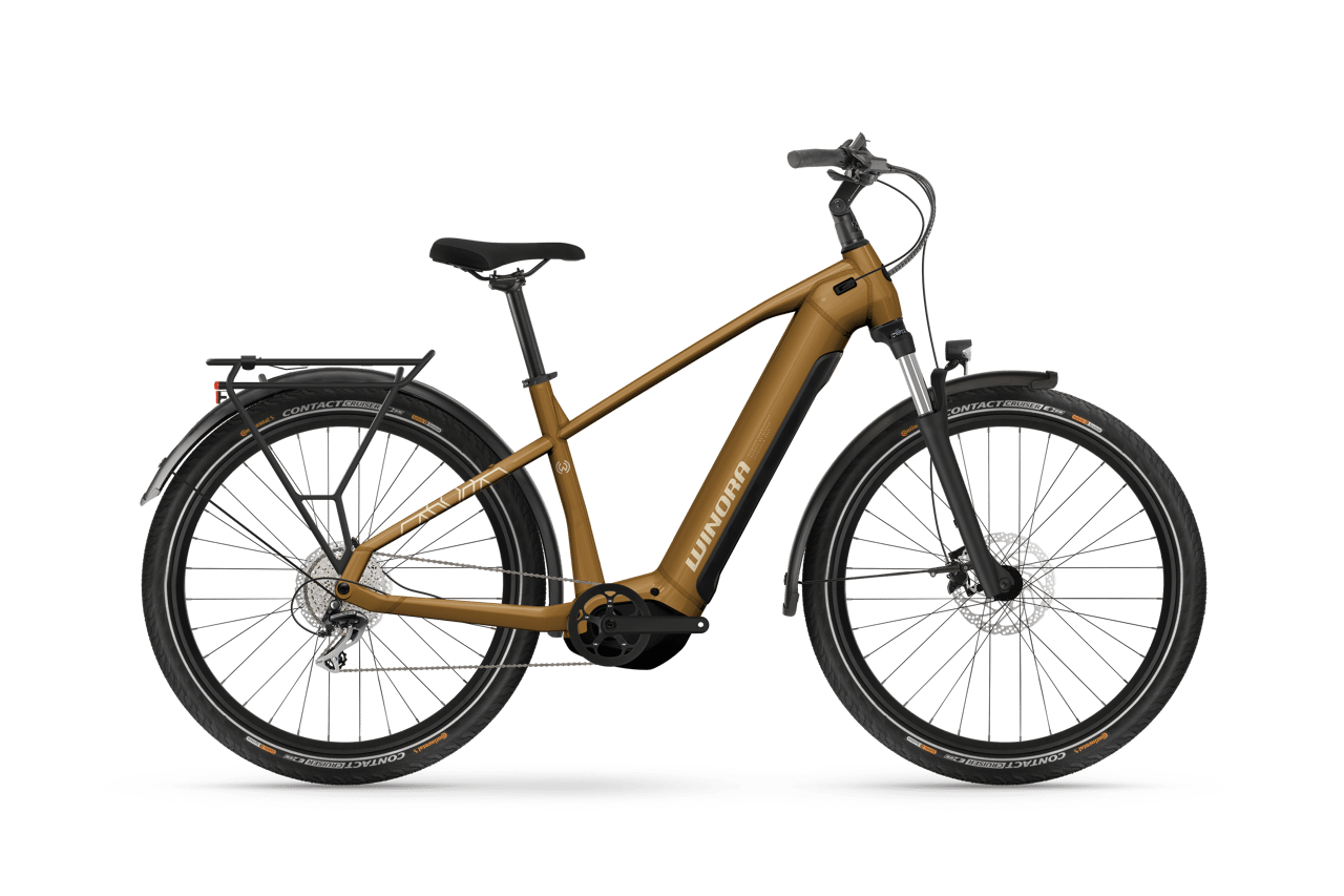 Trekking ebike 2021 deals