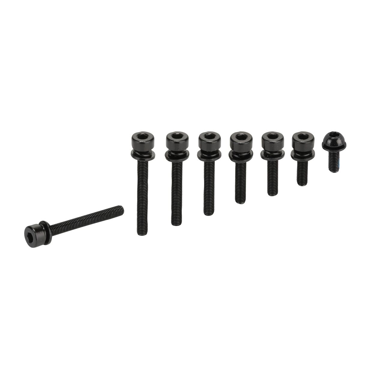 XLC Tornillos para adaptador Flat Mount M5x15mm, cabeza estándar, 2 por set